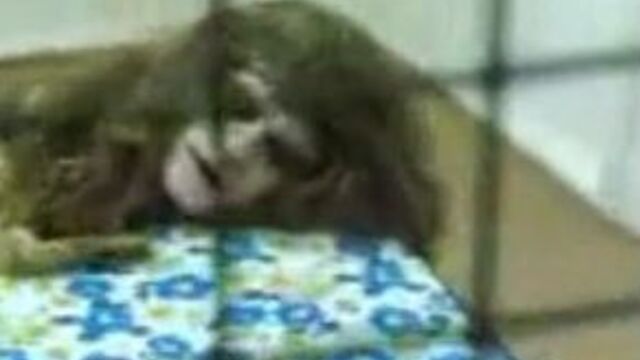 Порнуха №179701 - 2pornuha.com