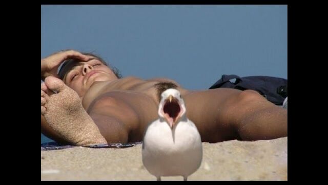 Порнуха №37281 - 2pornuha.com