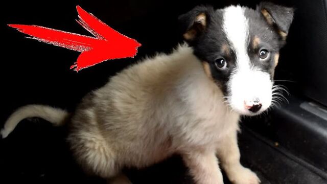 Порнуха №439157 - 2pornuha.com